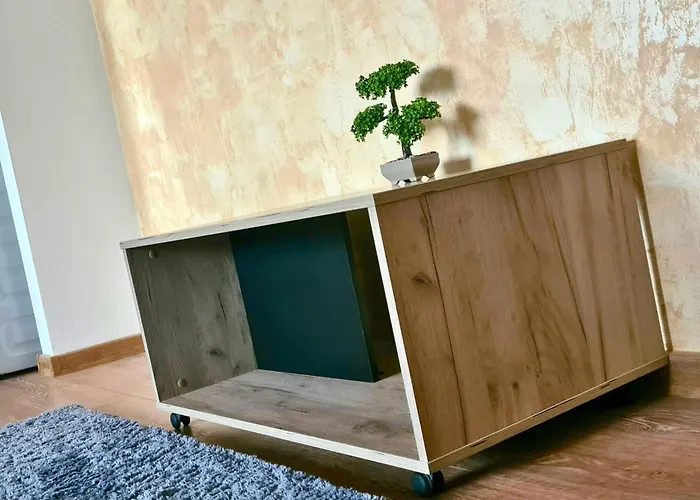 Cozy Apartment- Zona Centrala