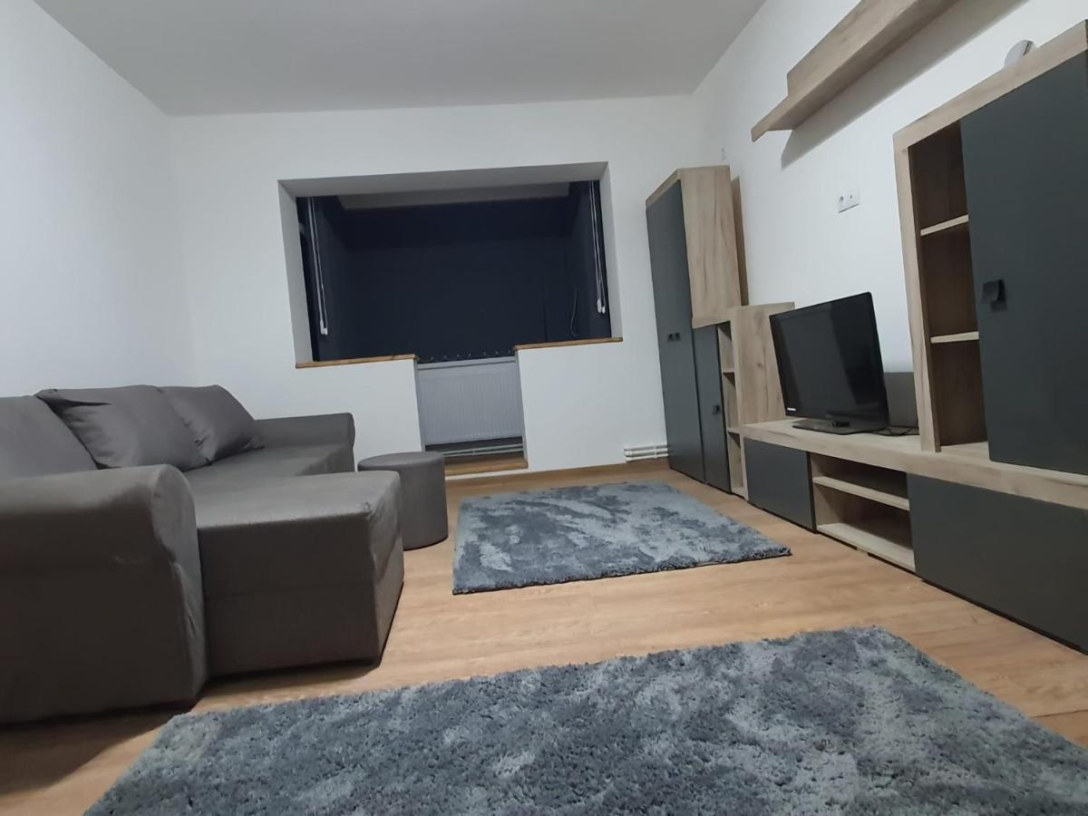 Apartment Cozy Apartment- Zona Centrala