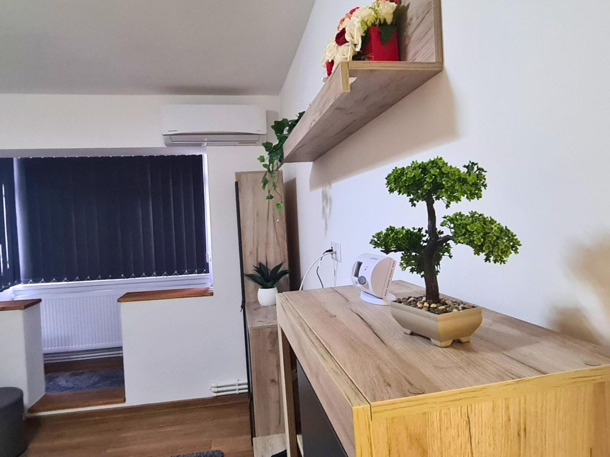 Apartment Cozy Apartment- Zona Centrala Bacău
